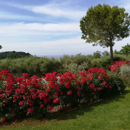 Villanesi